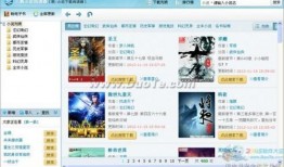 有料网官方网站 娱乐圈小说,揭秘明星背后的故事与情感纠葛